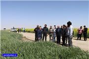 برگزاری نخستین تور آموزشی گردشگری کشاورزی خراسان رضوی در تربت حیدریه