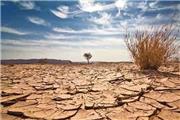 خشکسالی سنگین و مهیب بر سر خراسان رضوی سایه افکنده است