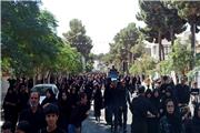 48 موکب ازجاماندگان اربعین حسینی در تربت‌حیدریه پذیرایی کردند
