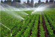 مجهز شدن بیش از پنج هزار هکتار اراضی کشاورزی رشتخوار به آبیاری نوین