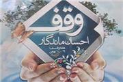 ثبت 70 درصد موقوفات در منطقه تربت‌حیدریه