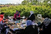 مستمری‌بگیران صندوق بیمه روستاییان تربت‌حیدریه از مرز هزار نفر گذشت