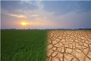 نتایج سوء تغییر اقلیم بر سفره بهره‌برداران کشاورزی تربت‌حیدریه