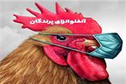 مؤسسه پاستور فرانسه: آنفلونزای پرندگان درصورت جهش، می‌تواند همه‌گیری شدیدتر از کرونا ایجاد کند