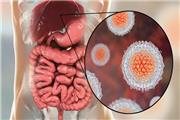 آغاز پویش یک‌ساله حذف هپاتیت C در تربت‌حیدریه با اولویت گروه‌های پرخطر
