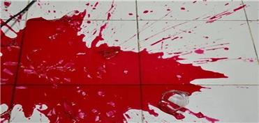 مقتولی که پس از 10 سال به خواب شاهد آمده بود باعث افشای راز 10ساله پرونده قتل شد