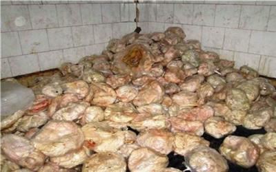 کشف بیش از 1300 کیلوگرم کله پاچه غیر بهداشتی از سردخانه یک منزل در تربت حیدریه