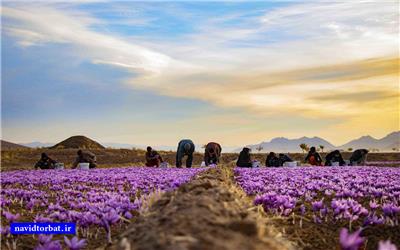 راهیابی اثردانش آموز تربت حیدریه به جشنواره عکس رشد