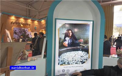 گزارش تصویری نوید تربت از غرفه معرفی فرصت های گردشگری و تاریخی تربت حیدریه در پانزدهمین نمایشگاه بین المللی گردشگری و سی و پنجمین نمایشگاه صنایع دستی کشور