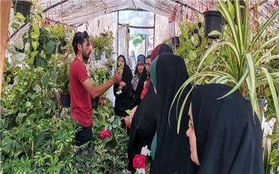برگزاری دوره ی مهارتی نگهداری و مراقبت از گیاهان آپارتمانی در مه ولات