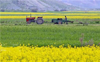 کسب رتبه‌های بالای استانی و کشوری توسط جهاد کشاورزی تربت حیدریه