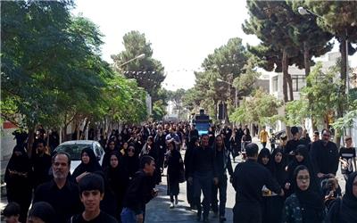 48 موکب ازجاماندگان اربعین حسینی در تربت‌حیدریه پذیرایی کردند