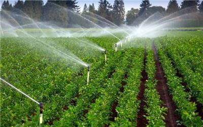 مجهز شدن بیش از پنج هزار هکتار اراضی کشاورزی رشتخوار به آبیاری نوین