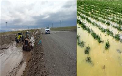 خسارت سنگین بارش‌‌های بهاری به بخش کشاورزی و راههای تربت حیدریه
