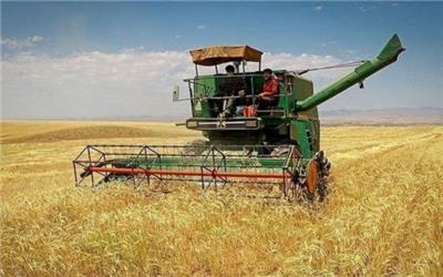 آغاز برداشت گندم از مزارع بخش رخ تربت حیدریه