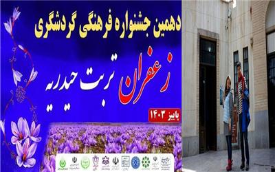 تربت حیدریه میزبان گردشگران داخلی و خارجی کشتزارهای زعفرانی