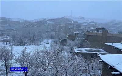 بارش بیش از 42 میلیمتر باران و 31 سانتی متر برف در تربت حیدریه