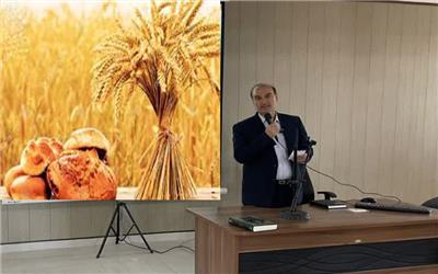 روز ملی گندم و نان فرصتی برای توجه بیشتر به امنیت غذایی کشور است