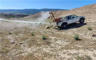آغاز مبارزه با ملخ در تربت‌ حیدریه