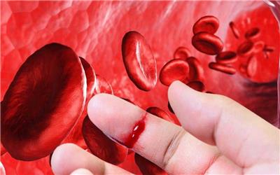 رئیس بیمه سلامت تربت حیدریه: بیماران هموفیلی100 درصد تحت پوشش بیمه هستند