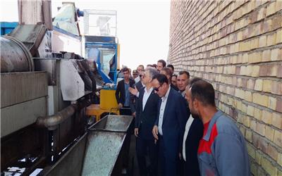 آغاز بهره برادری از کارخانه فرآوری پسته در رشتخوار