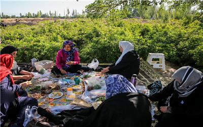 مستمری‌بگیران صندوق بیمه روستاییان تربت‌حیدریه از مرز هزار نفر گذشت