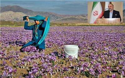 فرماندار زاوه: جشنواره عکس ایران جوان فرصتی برای برندسازی زعفران است