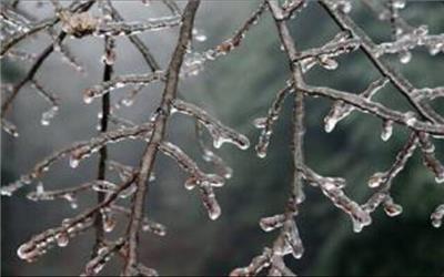 هشدار هواشناسی نسبت به «سرمای نامتعارف» در 30 استان / با افزایش مصرف حامل‌های انرژی، احتمال کاهش منابع انرژی وجود دارد