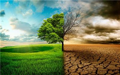 خشکسالی و تغییرات اقلیمی چالش مهم حوزه کشاورزی تربت حیدریه