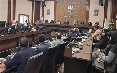 فعالیت 13 تشکل‌ مردم نهاد در تربت‌حیدریه
