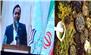 ششمین همایش ملی گیاهان دارویی و طب سنتی در تربت‌حیدریه برگزار شد/ دانشگاه تربت‌حیدریه حلقه واسط بین تولیدکننده و مصرف‌کننده گیاهان دارویی
