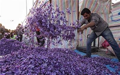 بازار زعفران فقط در اختیار زعفرانکاران و تولیدکنندگان خواهد بود / غرفه داران باید از نظام صنفی کشاورزی پروانه دریافت کنند