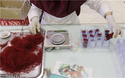 13 مرکز کار خرید زعفران تولیدی در رشتخوار را بر عهده دارند