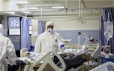مبتلایان به کرونا در تربت‌حیدریه به 79 نفر ،فوتی ها به چهار نفر رسیدند