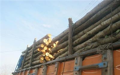کشف 10 تن چوب جنگلی قاچاق در بخش بایگ تربت حیدریه
