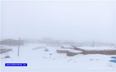 تصاویری ازبارش برف درمنطقه رخ تربت حیدریه