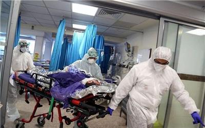 شناسایی 347 بیمار مبتلا به کرونا در تربت‌حیدریه