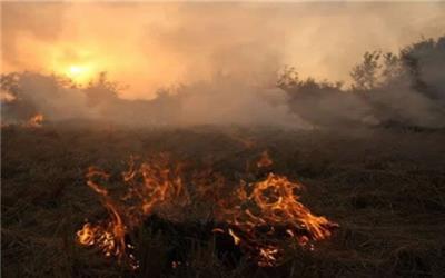 کشاورزان از آتش زدن بقایای گیاهان مزارع خودداری کنند