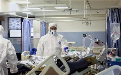 شناسایی901 مبتلای به کرونا  و فوت 11 نفر طی یک هفته در تربت حیدریه