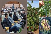 همایش آموزشی مدیریت باغات پسته در شهرستان تربت حیدریه برگزارشد