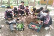 مشارکت 420 دانش‌آموزان تربت‌حیدریه در توسعه فضای سبز شهری