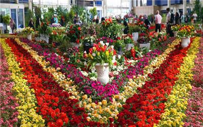 نخستین نمایشگاه گل و گیاه در تربت‌حیدریه برگزار می شود