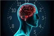 هشدار دانشمندان: مغز انسان برای بیداری در نیمه شب ساخته نشده است
