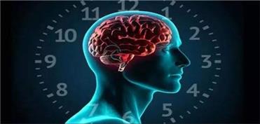 هشدار دانشمندان: مغز انسان برای بیداری در نیمه شب ساخته نشده است
