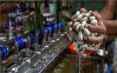 میراث فرهنگی با ایجاد کارگاههای صنایع دستی به کمک ابریشم کشان بایگ می آید