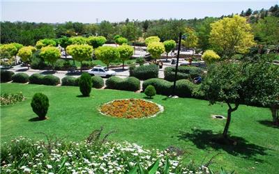 پارک جنگلی پیشکوه تربت‌حیدریه، نگینی سبز در  شمال شرق کشور و ورود به مشهدالرضا