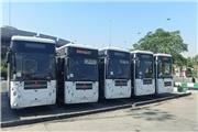 بازگشت زائران دهه آخر صفر با 18 دستگاه اتوبوس و ون شهرداری تربت حیدریه