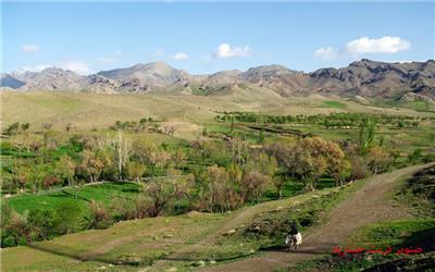 روستای صنوبر، مه‌لقای تربت‌حیدریه