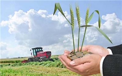 پرداخت یکهزار و 800 میلیارد ریال غرامت به کشاورزان خراسان رضوی